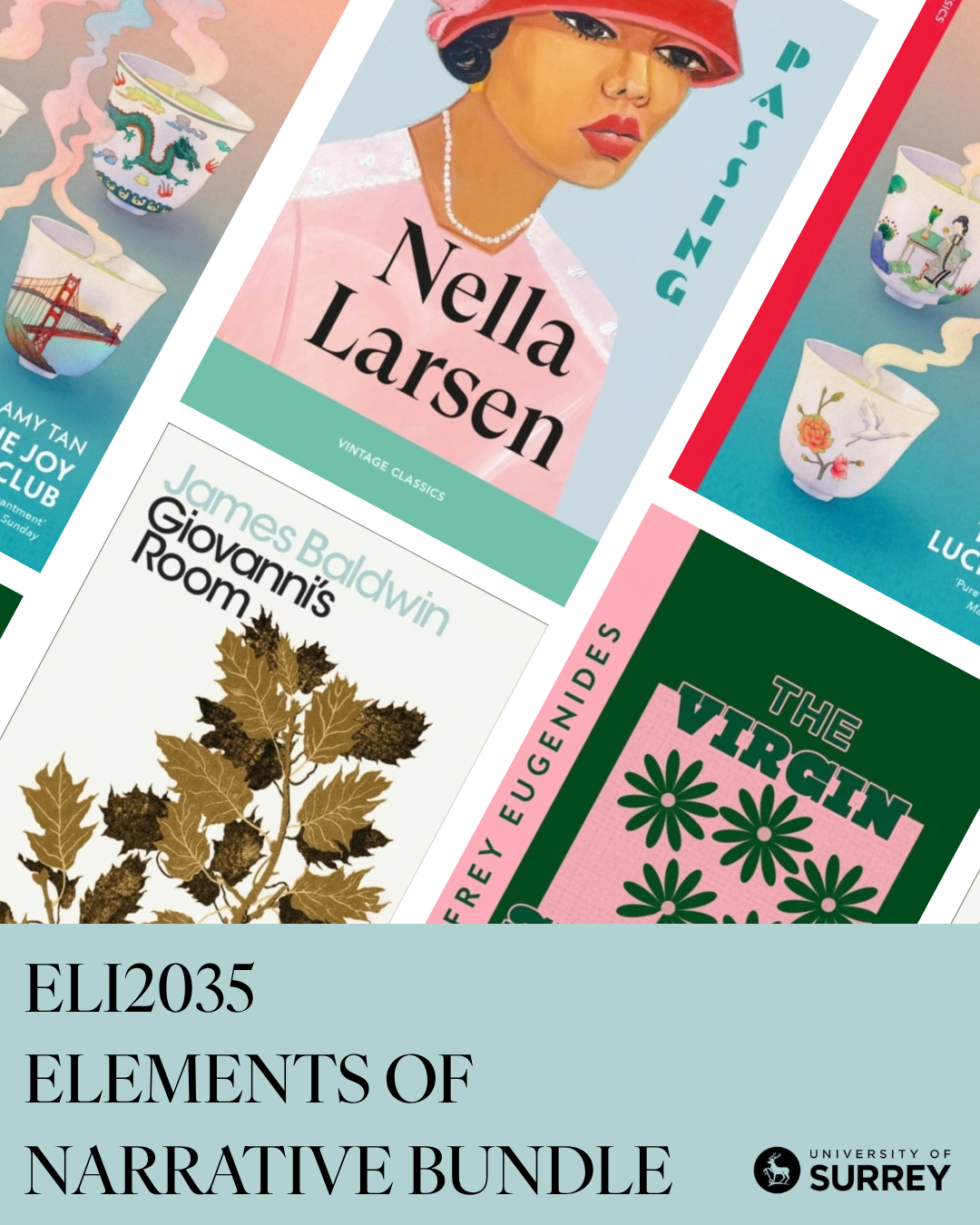 Elements of Narrative Bundle (ELI2035)