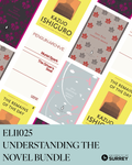 Understanding the Novel (ELI1025)