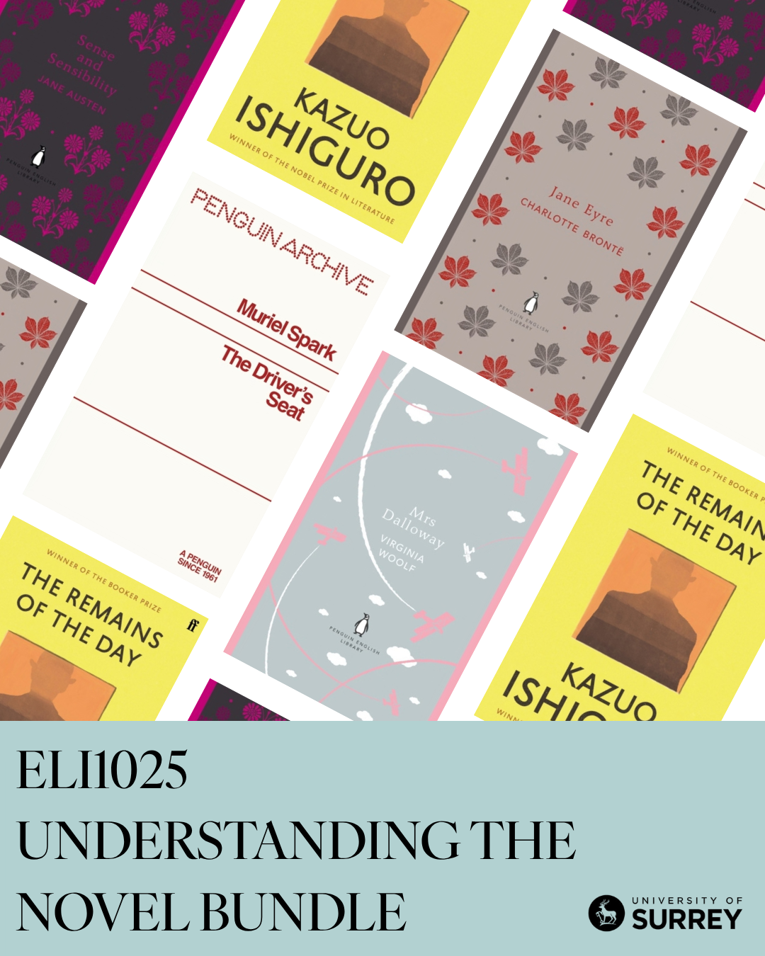 Understanding the Novel (ELI1025)